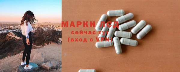 ПСИЛОЦИБИНОВЫЕ ГРИБЫ Алзамай