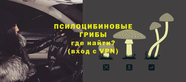 ПСИЛОЦИБИНОВЫЕ ГРИБЫ Алзамай